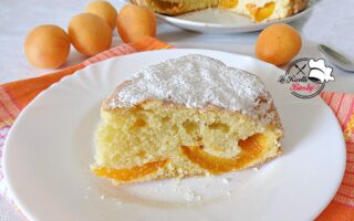 TORTA ALLE ALBICOCCHE BIMBY