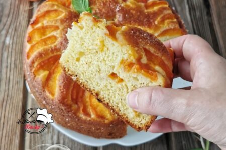 TORTA ALL'ALBICOCCA E YOGURT BIMBY