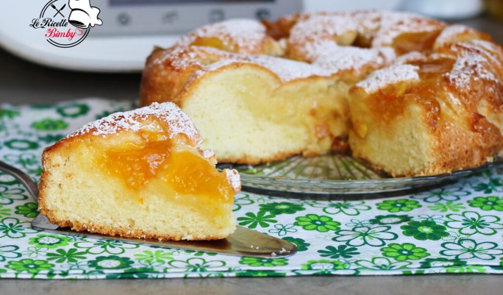 TORTA MORBIDA ALLA MARMELLATA BIMBY