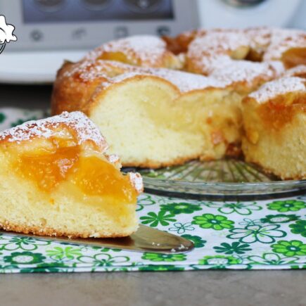 TORTA MORBIDA ALLA MARMELLATA BIMBY