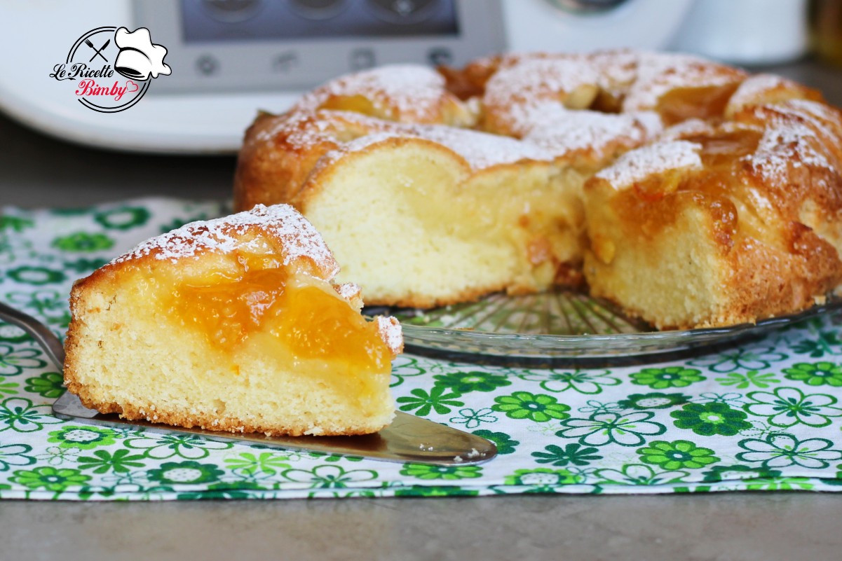 TORTA MORBIDA ALLA MARMELLATA BIMBY