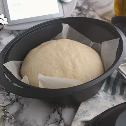 IMPASTO PIZZETTE BIMBY