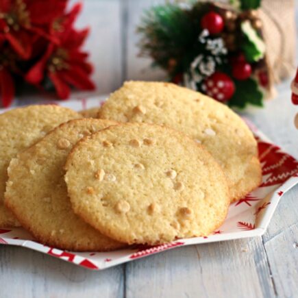 BISCOTTI AL COCCO E CIOCCOLATO BIANCO BIMBY