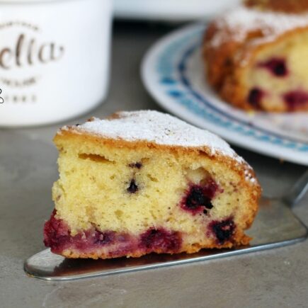 TORTA AI FRUTTI DI BOSCO E YOGURT BIMBY EVI