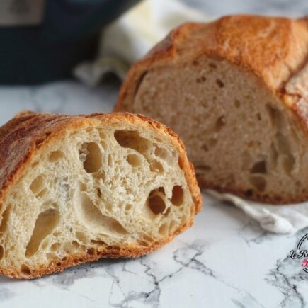 PANE A LUNGA LIEVITAZIONE RICETTA BIMBY