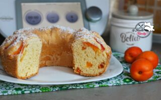 CIAMBELLA ALLE ALBICOCCHE BIMBY