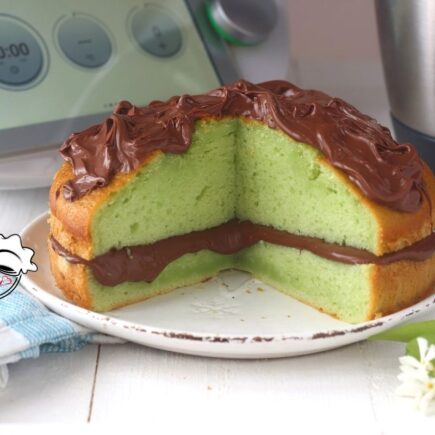 TORTA ALLA MENTA E NUTELLA BIMBY