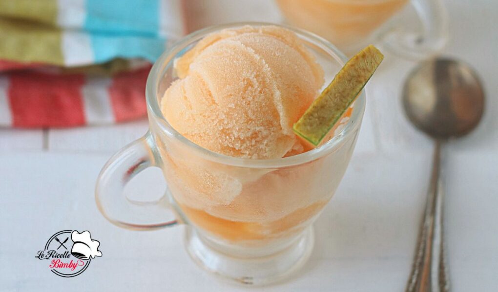 SORBETTO AL MELONE BIMBY