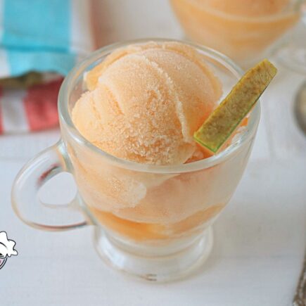 SORBETTO AL MELONE BIMBY