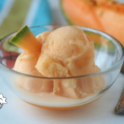 FROZEN YOGURT AL MELONE BIMBY