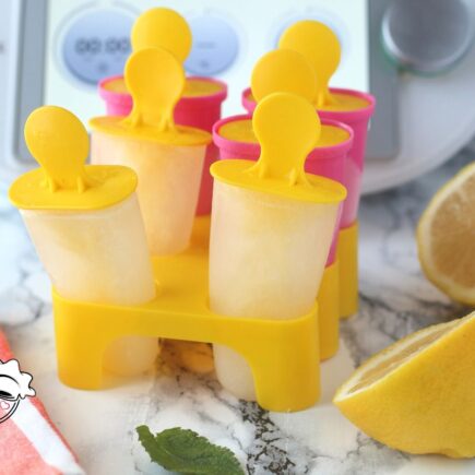 GHIACCIOLI AL LIMONE BIMBY