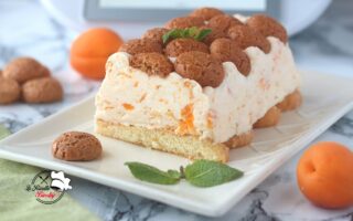 SEMIFREDDO ALLE ALBICOCCHE E AMARETTI BIMBY