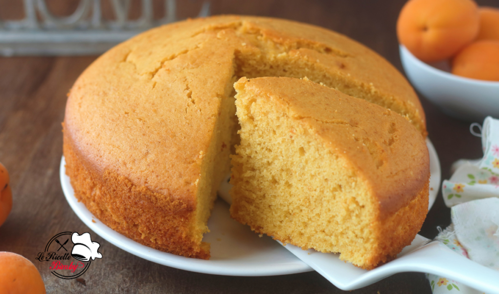 TORTA PAN DI ALBICOCCHE BIMBY
