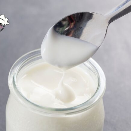 YOGURT SENZA LATTOSIO BIMBY