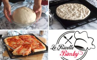 IMPASTO PER PIZZA E PIZZETTE AL TAGLIO BIMBY (1)