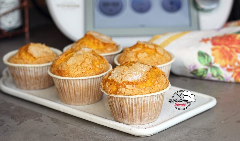 MUFFIN ALLA ZUCCA BIMBY