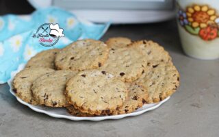 BISCOTTI ALL'AVENA E CIOCCOLATO BIMBY