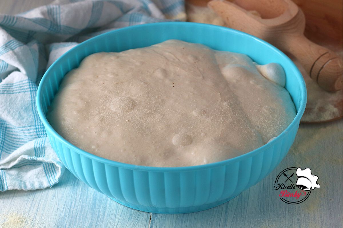 IMPASTO BONCI BIMBY A LUNGA LIEVITAZIONE