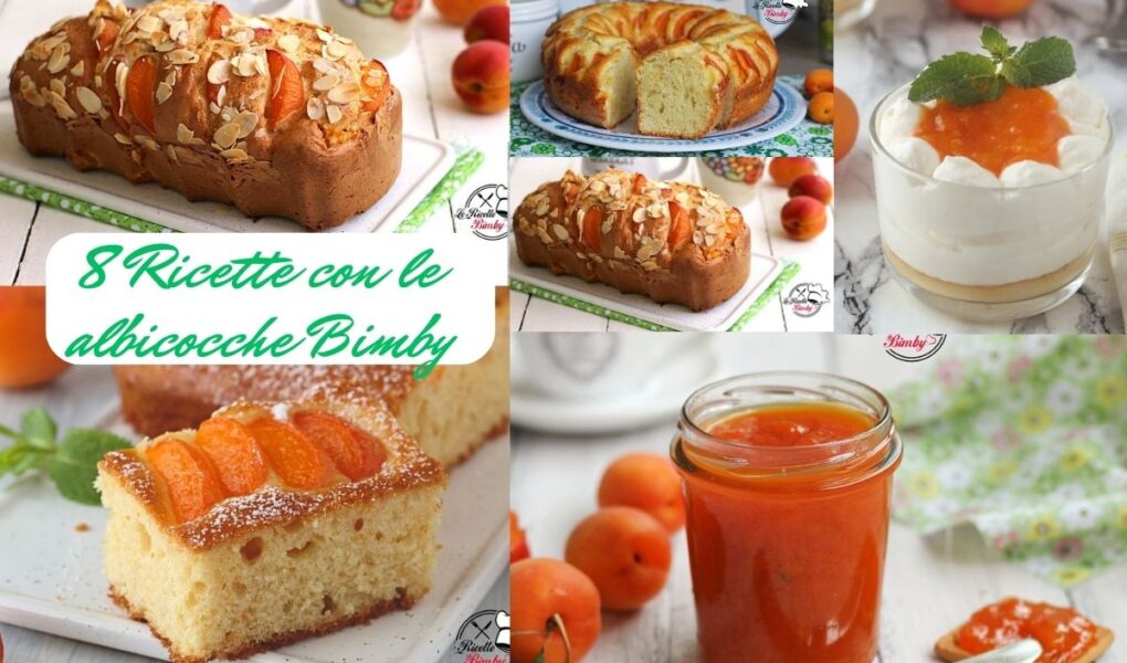 RICETTE CON LE ALBICOCCHE BIMBY
