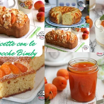 RICETTE CON LE ALBICOCCHE BIMBY