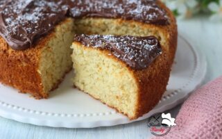 TORTA AL COCCO E GIANDUIA BIMBY